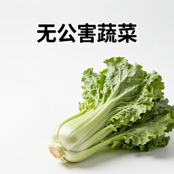 装饰材料厂